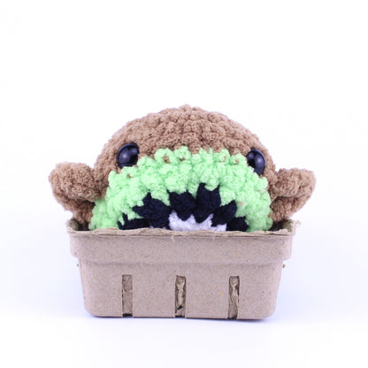 Kali the Kiwi Whale Crochet Plushie