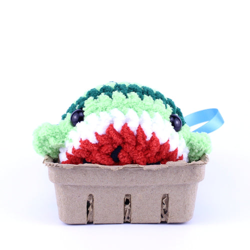 Wanda the Watermelon Whale Crochet Plushie